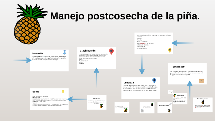 Manejo postcosecha de la piña. by yeimy perez on Prezi