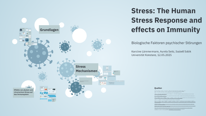 Effects of Stress on the Immune System by Aurela Seitz on Prezi