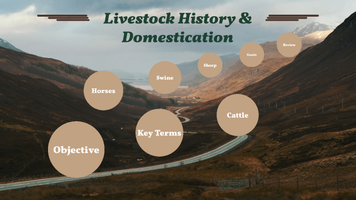 Livestock History & Domestication by Matthew Medeiros on Prezi