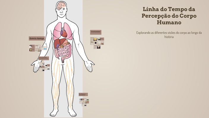 Linha do tempo da percepção do corpo humano by Fernanda Hattori on Prezi