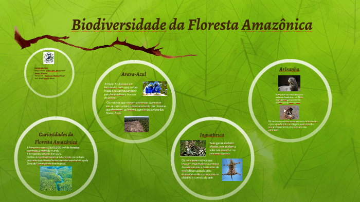 Biodiversidade da Região Norte by Arthur Oliveira Santos Maia on Prezi
