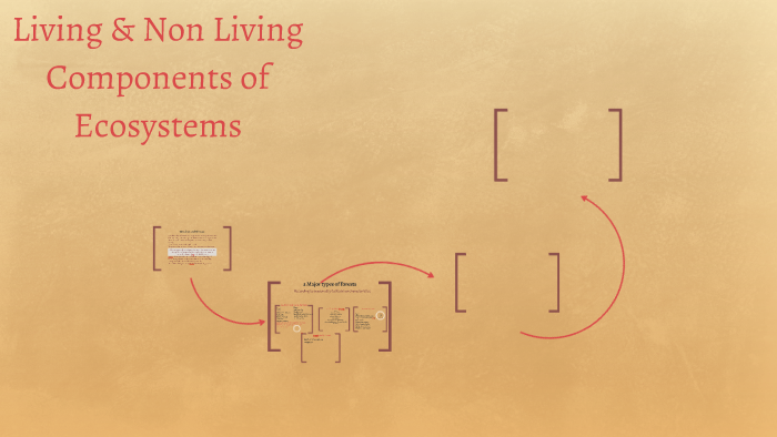 Living & Non Living Components of Ecosystems by on Prezi