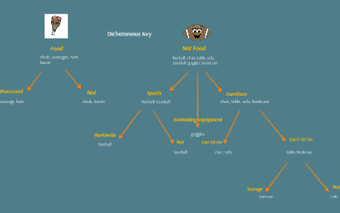 Dichotomous Key by lara tomlinson on Prezi