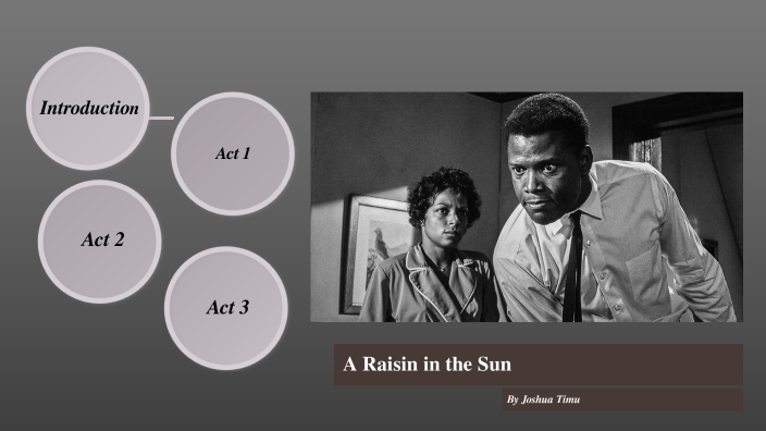 a raisin in the sun walter lee essay