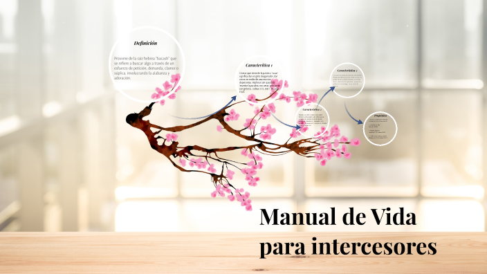 Manual De Vida Para Intercesores Ana Maldonado Pdf