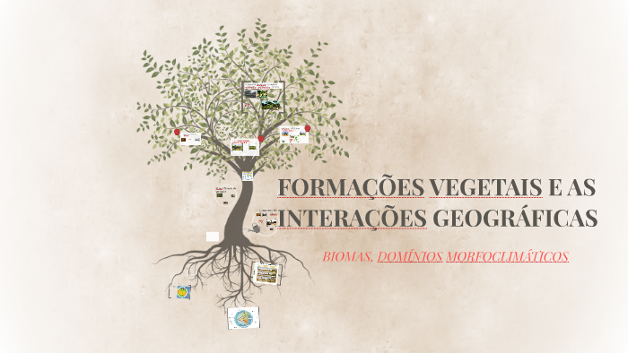 BIOMAS E FORMAÇÕES VEGETAIS by Túlio Watanabe on Prezi