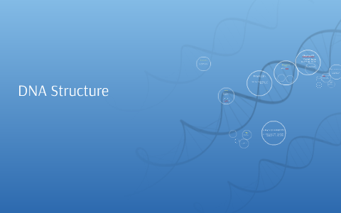 DNA Structure by Zach Beckner on Prezi
