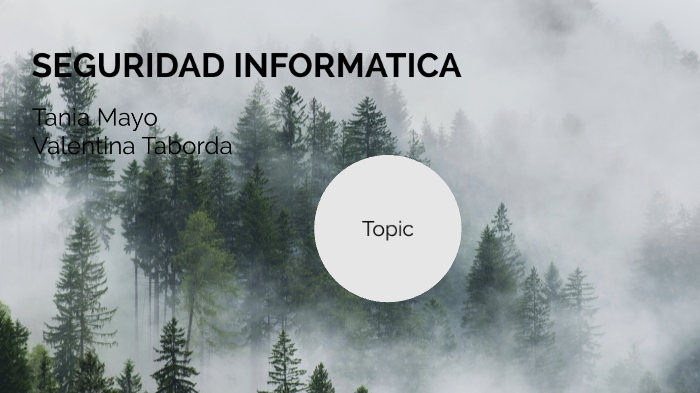 Seguridad informática by Valentina Taborda Salazar on Prezi