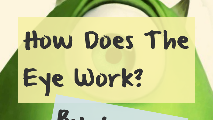 How Does The Eye Work? by Jessica Stewart on Prezi