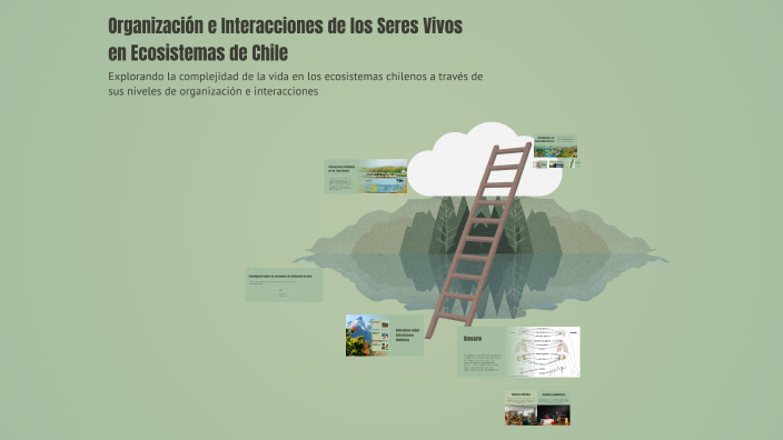 Organización e Interacciones de los Seres Vivos en Ecosistemas de Chile ...