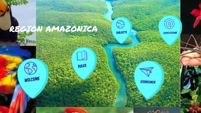 REGIÓN AMAZÓNICA by Yuliana Gomez on Prezi