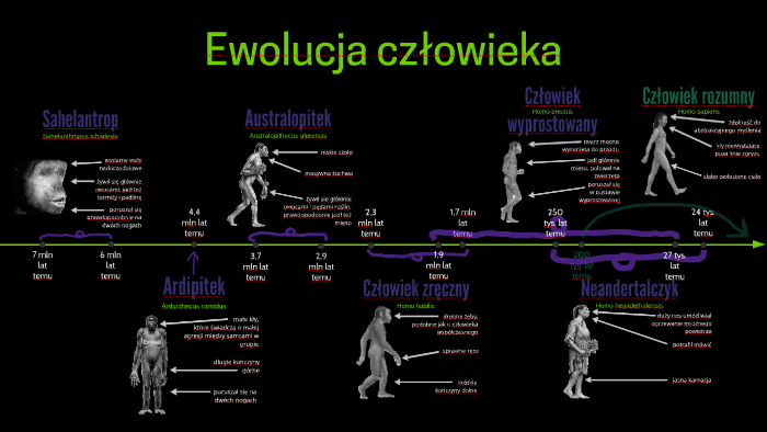Ewolucja człowieka by Victoria Es on Prezi
