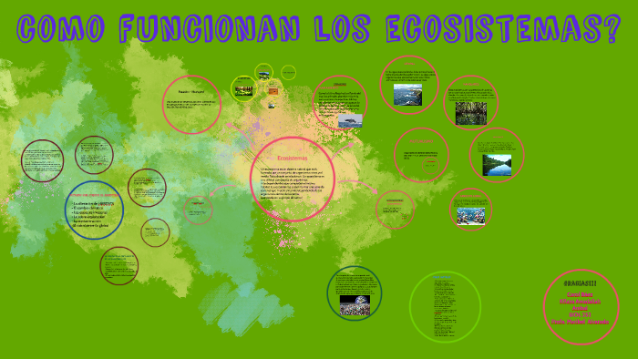 Ecosistemas by Carol Baez on Prezi