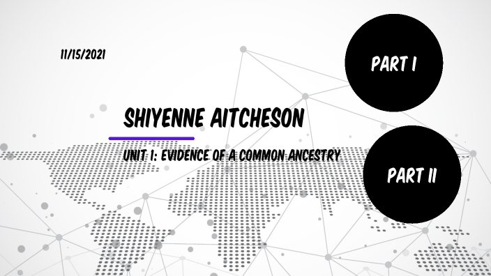 evidence-of-a-common-ancestry-by-shiyenne-aitcheson