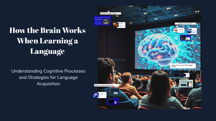How the Brain Works When Learning a Language by melani rodriguez on Prezi