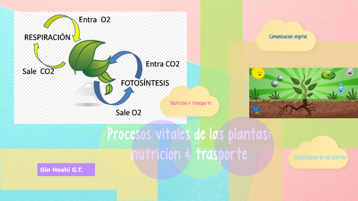 Procesos vitales de las plantas by gin guarneros on Prezi