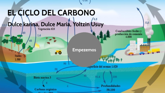 el ciclo del carbono by Perla Adkins Cuarzo on Prezi