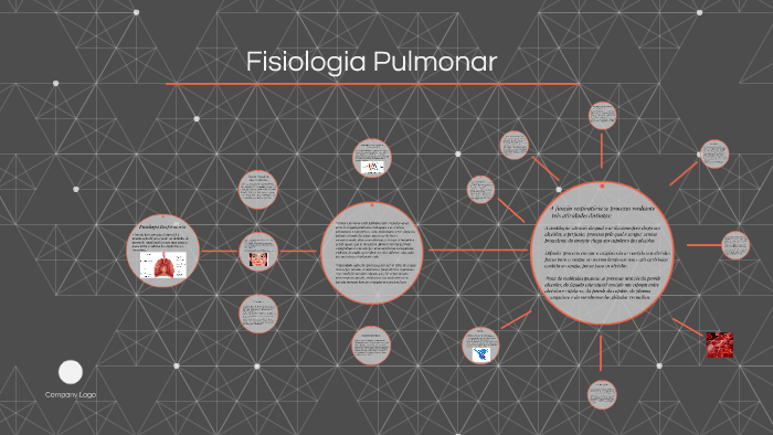 Fisiologia Pulmonar By Marciana Alice On Prezi