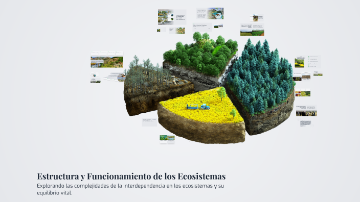 Estructura y Funcionamiento de los Ecosistemas by Oscar Suarez on Prezi