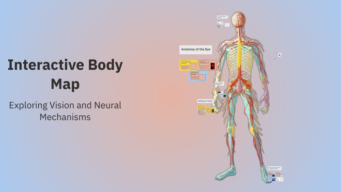 Interactive Body Map by Joshua Valecia on Prezi