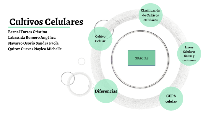 Cultivo Celular by angelica labastida on Prezi