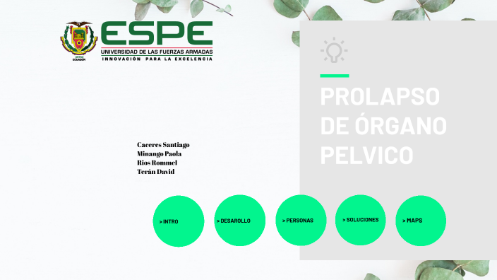 PROLAPSO DE ORGANO PELVICO by david teran on Prezi
