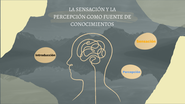 La Sensación Y La Percepción Como Fuente De Conocimientos By Nerea ...