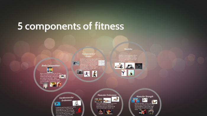 what-are-the-5-types-of-software-licenses