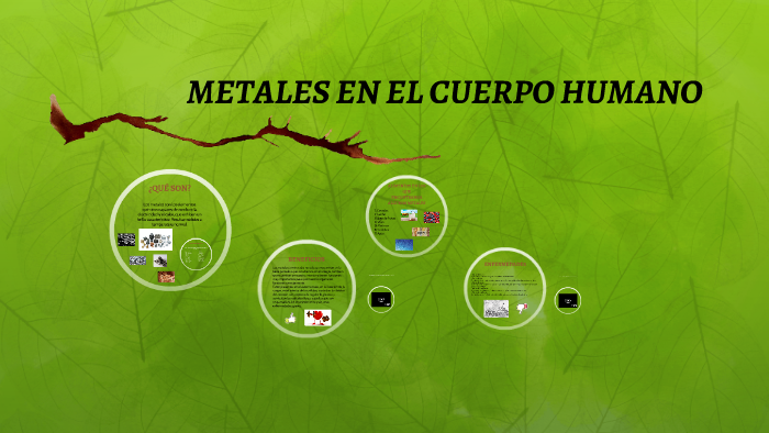 METALES EN EL CUERPO HUMANO by Carlos González Araujo