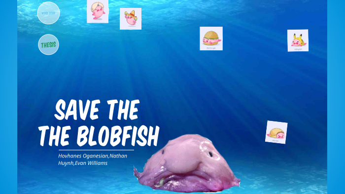Blobfish: Facts about the world's ugliest animal - BBC Science