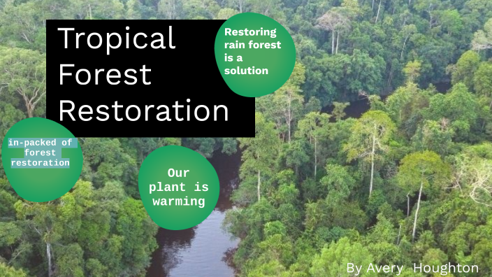 tropical forest restoration by Avery Houghton on Prezi