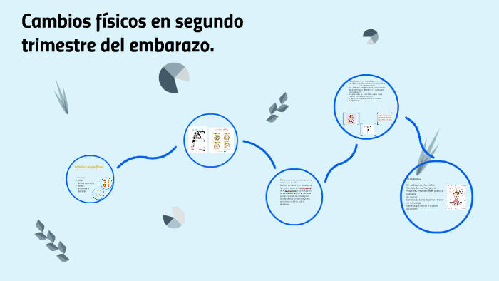 Cambios físicos en segundo trimestre del embarazo. by laura gomez