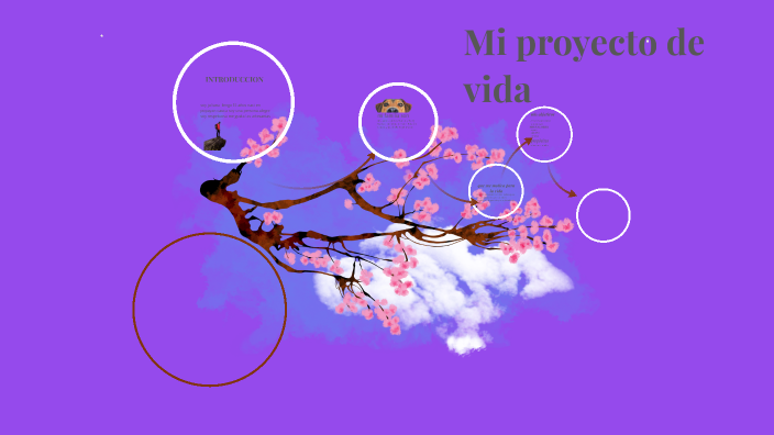 mi proyecto de vida by juliana campo narvaez on Prezi