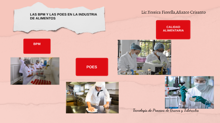 LAS BPM Y POES EN LA INDUSTRIA DE ALIMENTOS by Yessica Fiorella Añazco ...
