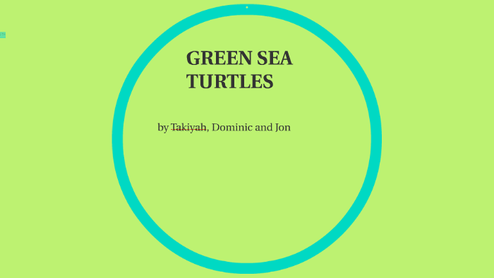 GREEN SEA TURTLES by derek mendez on Prezi