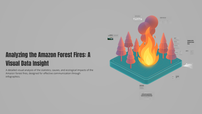Analyzing the Amazon Forest Fires: A Visual Data Insight by Fateme ...