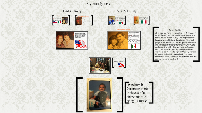 My Family Tree by Stevon Garcia on Prezi