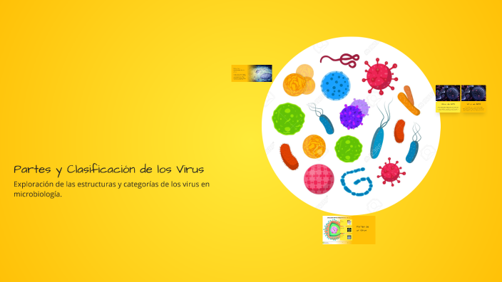 Partes y Clasificación de los Virus by Mariel Valle Nuñez on Prezi