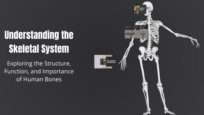Understanding the Skeletal System by SHUBHAM N. VERMA on Prezi
