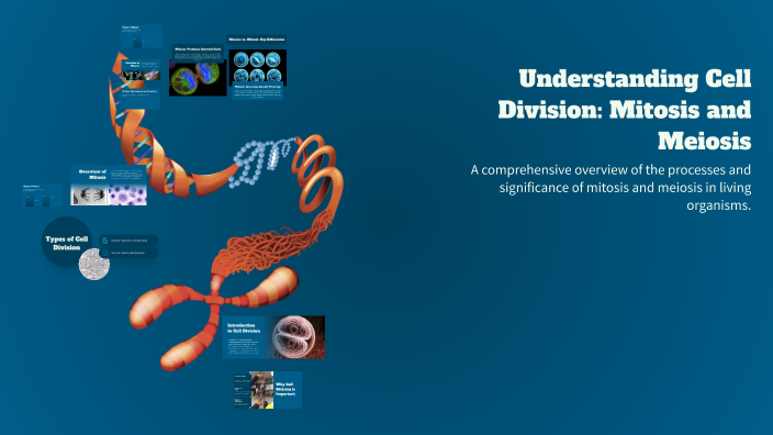 Understanding Cell Division: Mitosis and Meiosis by Brian Malta on Prezi
