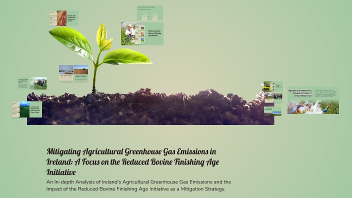 Mitigating Agricultural Greenhouse Gas Emissions in Ireland: A Focus on ...