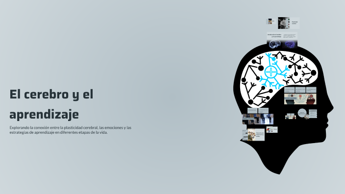 El cerebro y el aprendizaje by Alejandra Arias on Prezi