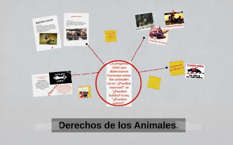 Derechos de los Animales. by Carolina Martinez on Prezi