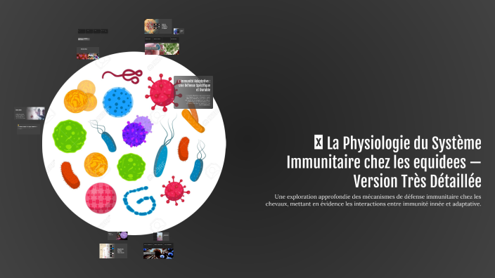 🌿 La Physiologie du Système Immunitaire chez les equidees — Version ...