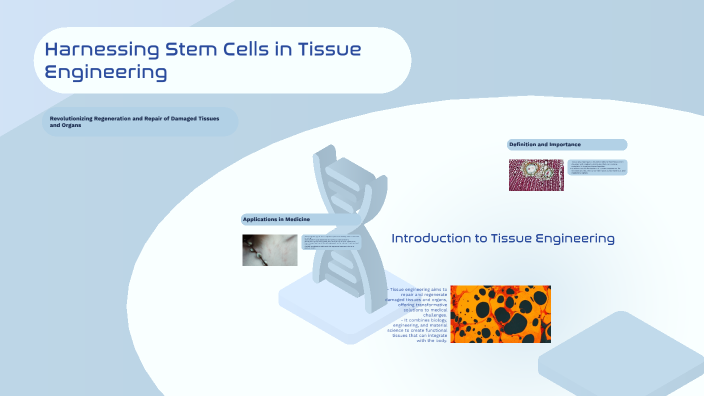 Harnessing Stem Cells in Tissue Engineering by alex cesarios on Prezi