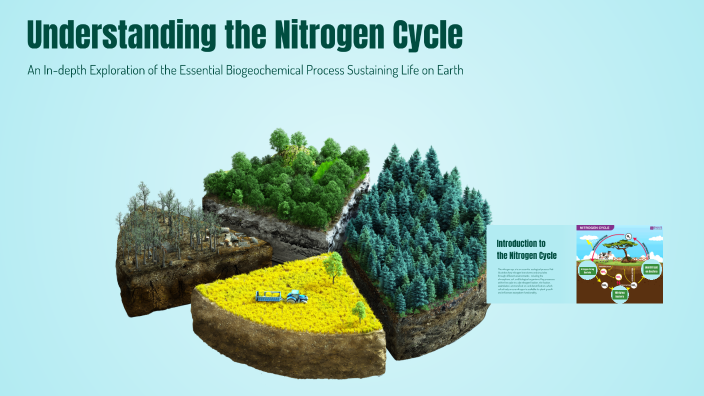 Understanding the Nitrogen Cycle by Raphael Weiss on Prezi