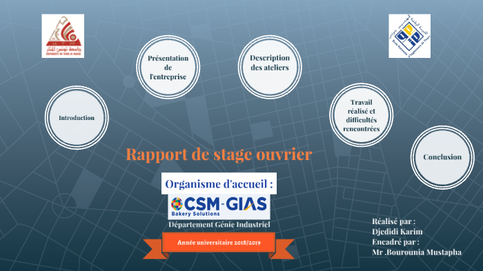 rapport de stage difficultes rencontrees