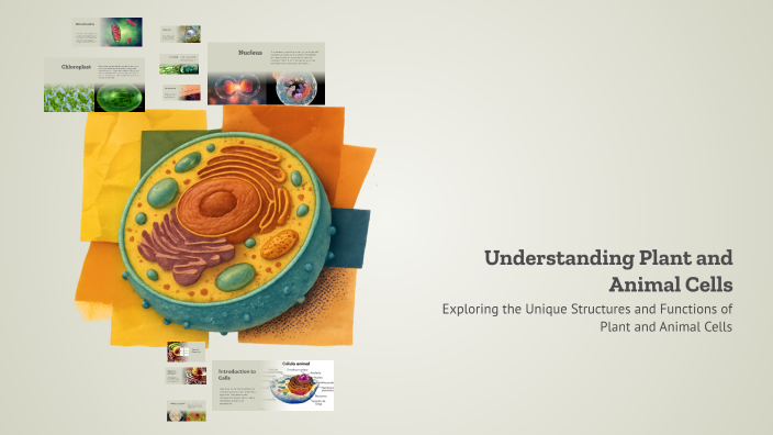 Understanding Plant and Animal Cells by Yakup Yababa on Prezi