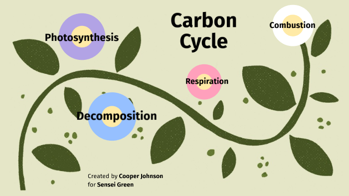 Carbon Cycle by Stepheny Johnson on Prezi