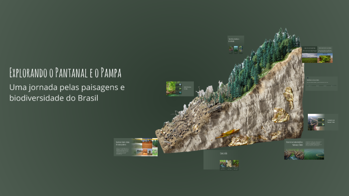 Explorando o Pantanal e o Pampa by Trabalho on Prezi